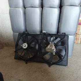 okiz kelle lopast taze