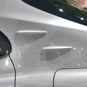 Źabra Stoýka Camry 18 24ý