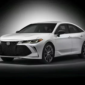 Avalon Nikel Bezegler