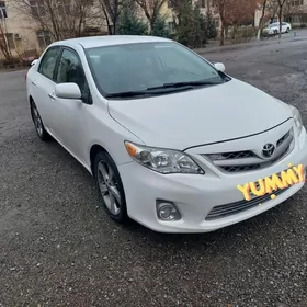 Toyota Corolla 2011