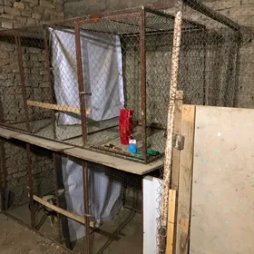 ketek towuk horaz juje