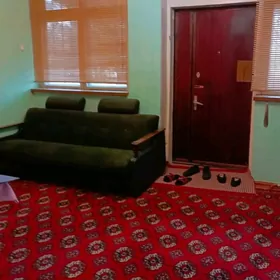 arenda şor karadamak jay