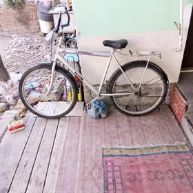 brawerin uly hylsy 26X