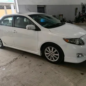 Toyota Corolla 2010