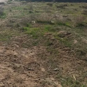 Yoloten Mal Bazaryn yany