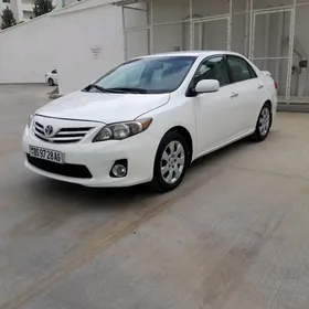 Водитель Suruji