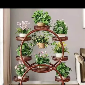 полки для цветов