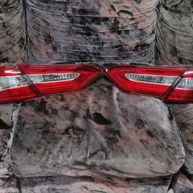 18.20Cemry yzky stop cyra fara