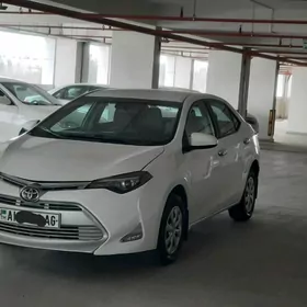 Toyota Corolla 2018