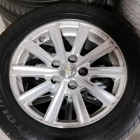 16 lik diska pakriska