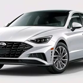 Sonata Nikel Bezegler