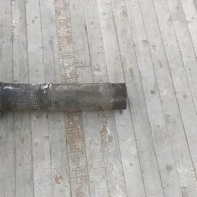 Gulşitel Setka Maz.