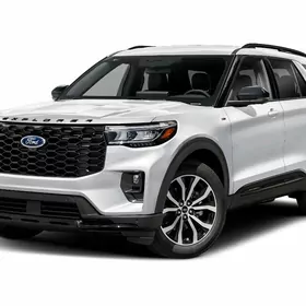 Explorer Nikel Bezegler