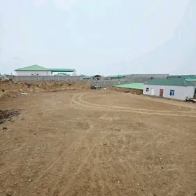 Anew Magtymguly 16sotuk