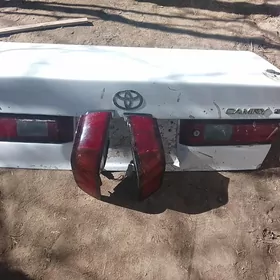 liticke bagaz radonoy parlary