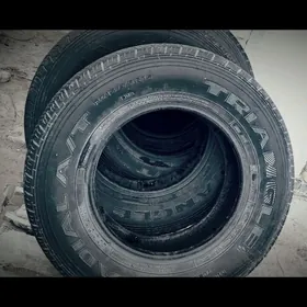 Tigir Tragle 215.75.15.