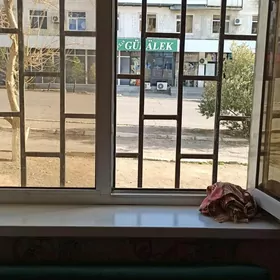 kwartira квартира