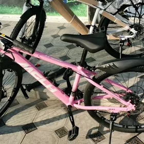 welosiped ussa gerek