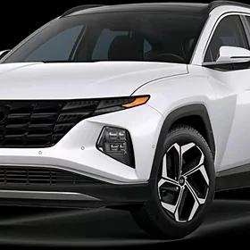 Tucson Nikel Bezegler