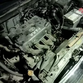 Carolla 2004 haliji mator