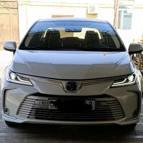 Toyota Corolla 2022
