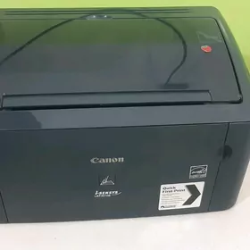 Canon 3010