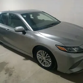 Toyota Camry 2020
