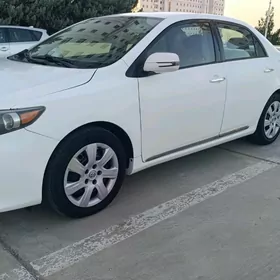 Toyota Corolla 2009