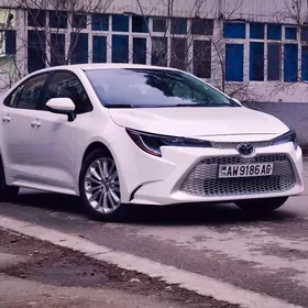 Toyota Corolla 2020