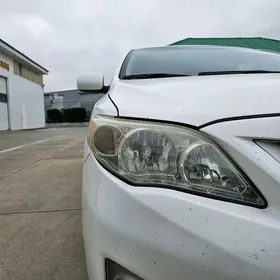 corolla 2011 oblisiwka fara