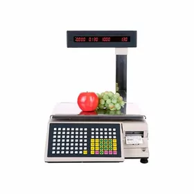 TM30A 30kg terezi  Profesionallar üçin niýetlenen