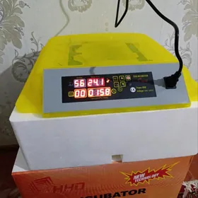 Inkubator 48/Инкубатор 48