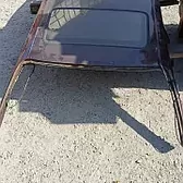 Okuz kelle krysa lyukly