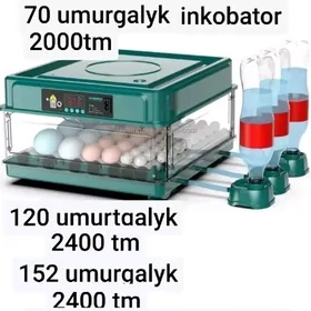 inkubator