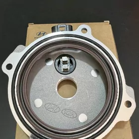 Wanus Kriska Cotka Hyundai Kia