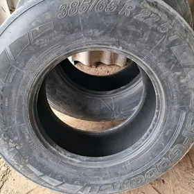 BFgoodricn 385.65.22.5