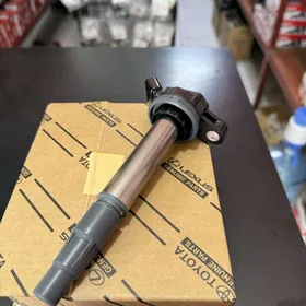 Katuska  Babina Toyota Lexus