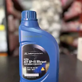 Karopka Yag Hyundai Kia