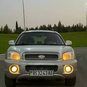 Hyundai Santa Fe 2004