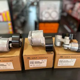 Natasitel Hyundai Kia