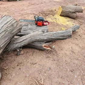 BAG KESiP BERMEK  HyZMATy.