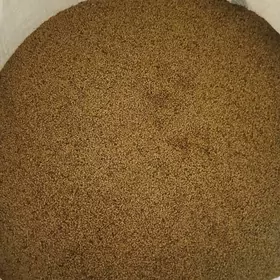 tohum arassa mesele yok