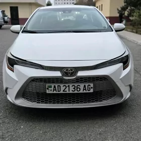 Toyota Corolla 2020