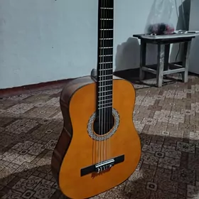 Classik Gitara
