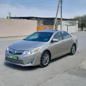 Toyota Camry 2014