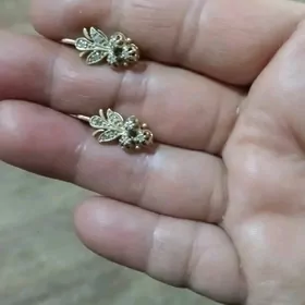 alyn sirga gas birlyat