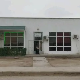 Satlyk söwda we hususy emläkle