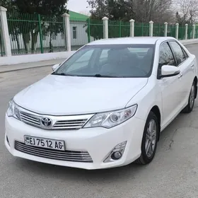 Toyota Camry 2013