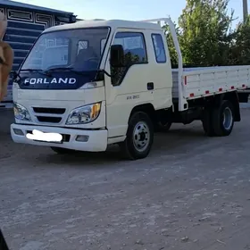 Forland H2 2009