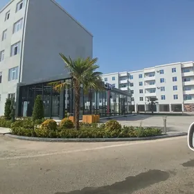 ️ Satlyk elitka jaý 